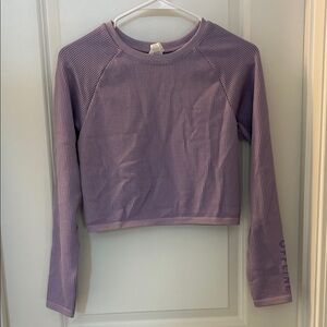 Aerie Lavender Textured Long Sleeve Top like new size xl
juniors size never worn